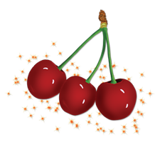 cherry