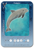 dolphinkort